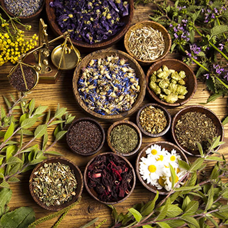 Herbal Veterinary Medicine